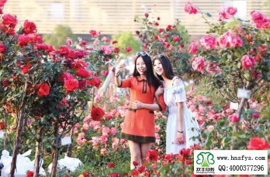 2015 南陽月季展玉雕節(jié)已開幕，花已開好 君可來矣