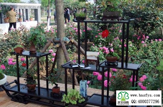 2015 南陽月季展玉雕節(jié)已開幕，花已開好 君可來矣